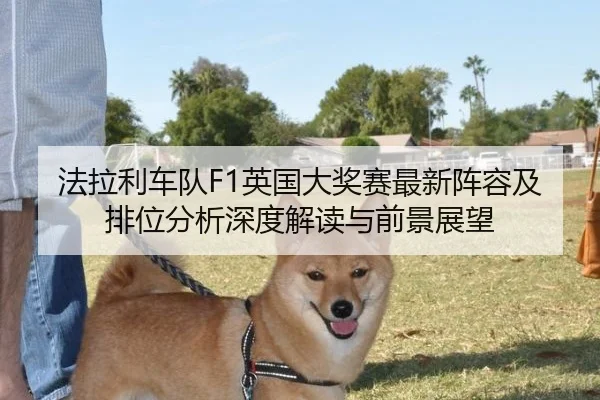 法拉利车队F1英国大奖赛最新阵容及排位分析深度解读与前景展望