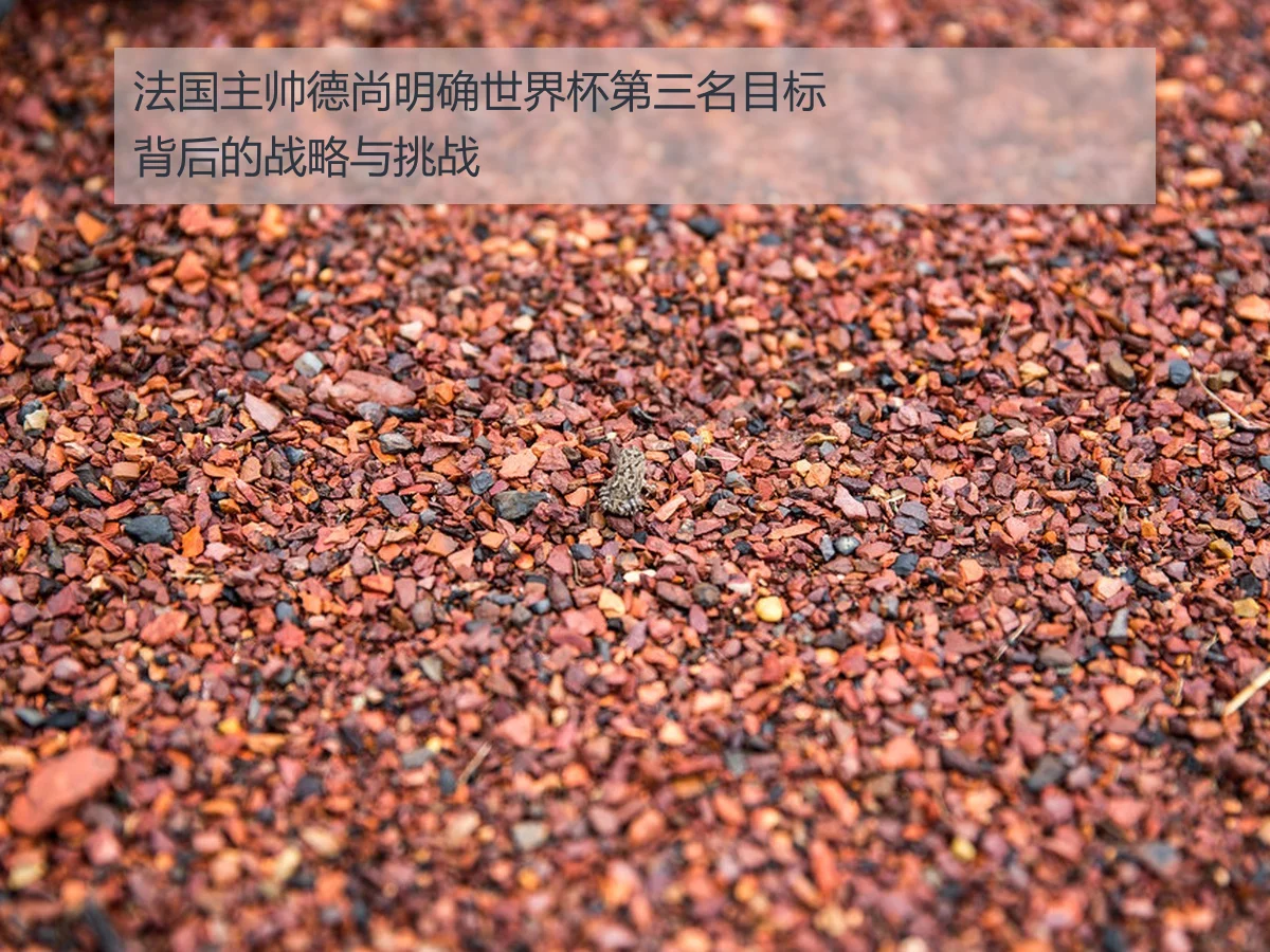 法国主帅德尚明确世界杯第三名目标背后的战略与挑战